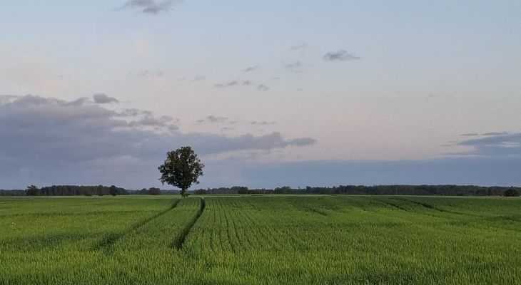 Piedāvā tehnisko kompostu